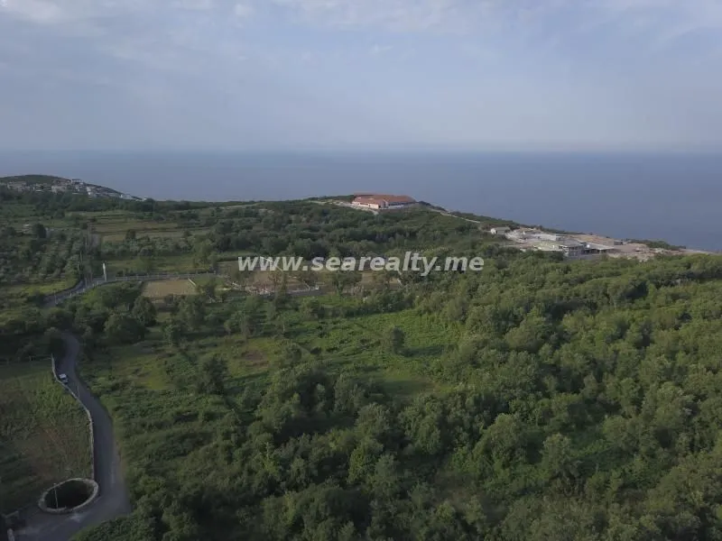 Prodaja, plac, 6400m², Krimovica, Kotor