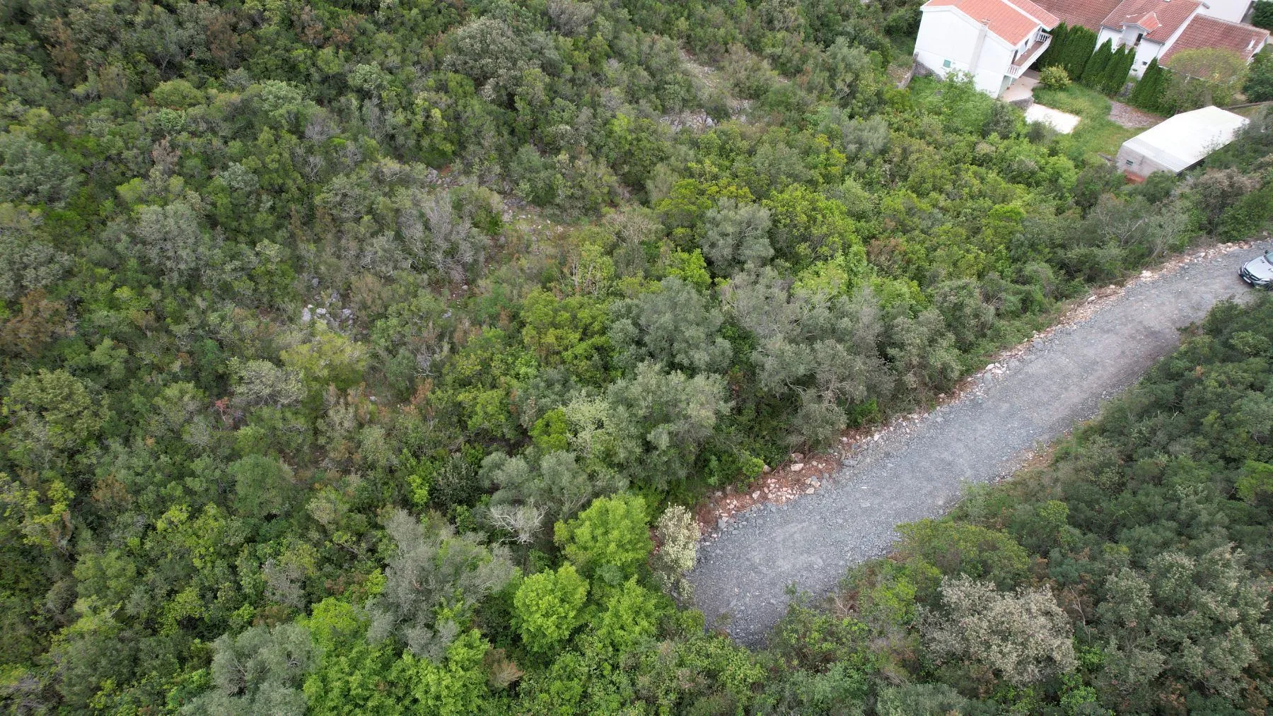 Prodaja, plac, 3585m², Krimovica, Kotor