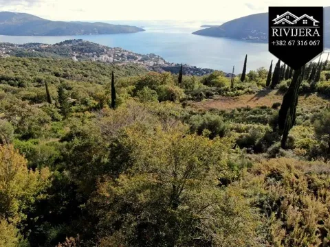 Prodaja, plac, 3849m², Trebesinj, Herceg Novi - image 12
