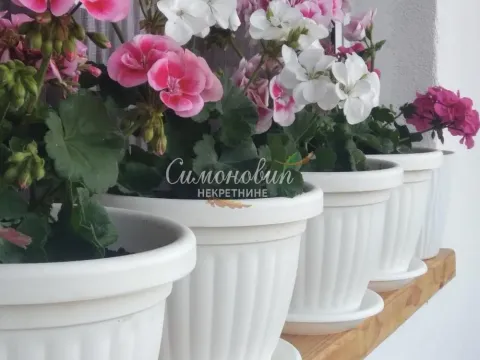 Sale, three bedroom apartment, 61m², Stari Slankamen, Inđija - image 20