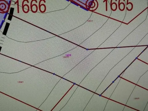 Sale, land lot, 2000m², Sremska Kamenica, Petrovaradin - image 13