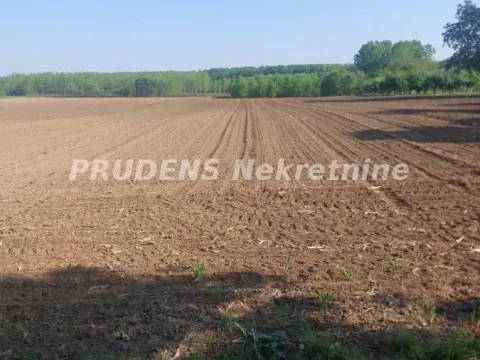 Sale, house, 72m², Kupinovo, Pećinci - image 14