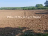 Prodaja, kuća, 72m², Kupinovo, Pećinci - image 14