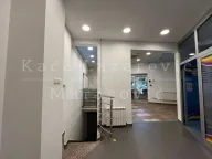 Izdavanje, poslovni prostor, 387m², Novi Beograd Sve Podlokacije, Beograd - image 7