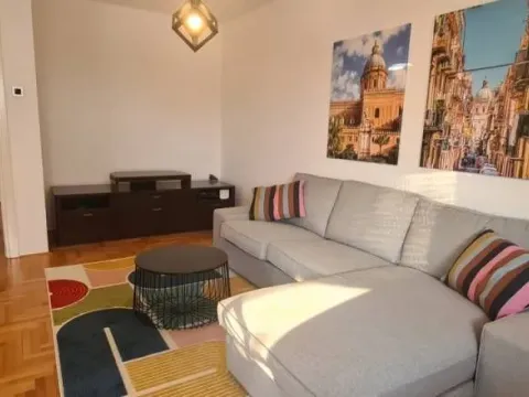 Rent, two bedroom apartment, 57m², Bežanijska Kosa Sve Podlokacije, Beograd - image 3