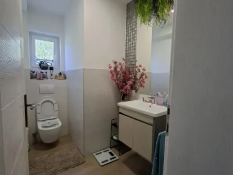 Sale, house, 333m², Misa, Pančevo - image 18