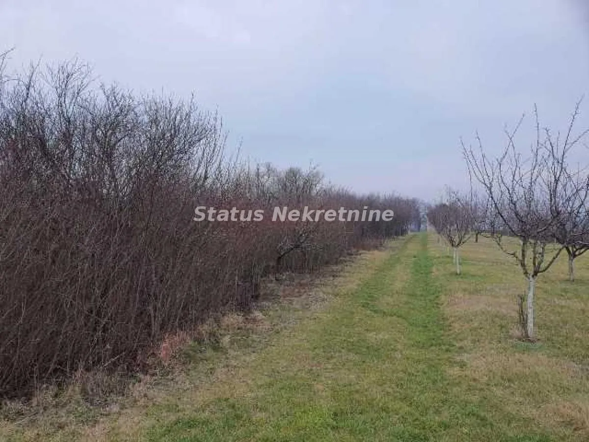 Prodaja, plac, 1700m², Inđija, Srbija