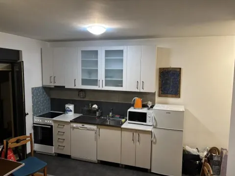 Izdavanje, trosoban stan, 49m², Bulbulder, Zvezdara Sve Podlokacije - image 4