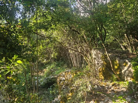 Prodaja, plac, 1000m², Mojdež, Herceg Novi - image 10