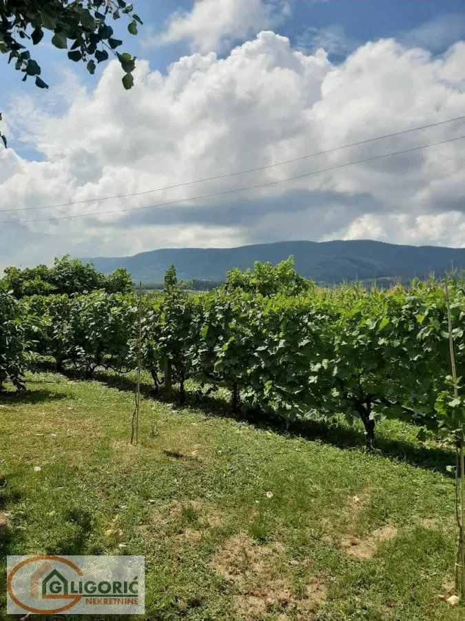 Sale, house, 120m², Radovašnica, Šabac
