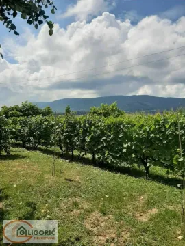 Sale, house, 120m², Radovašnica, Šabac - image 10