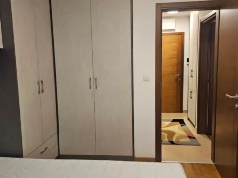 Izdavanje, jednosoban stan, 43m², Tološka šuma, Podgorica - image 8