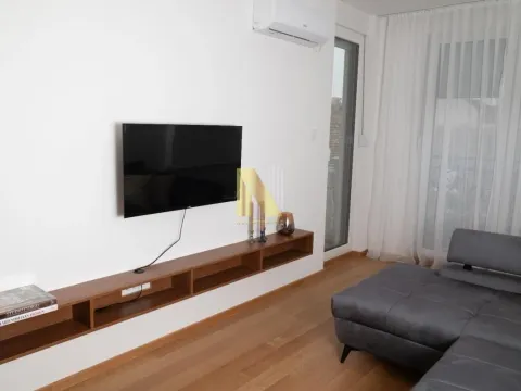 Izdavanje, dvosoban stan, 47m², Centar, Novi Sad - image 2