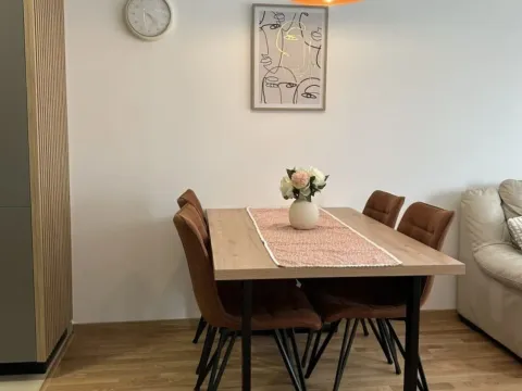 Izdavanje, jednosoban stan, 47m², Zabjelo, Podgorica - image 3