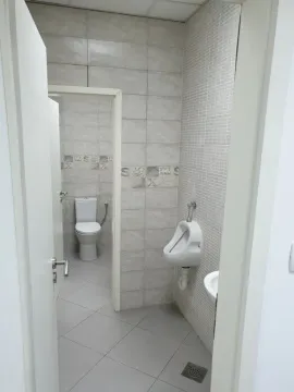 A view of a modern bathroom with sanitary facilities. - image 12