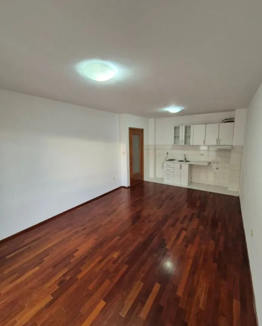 Izdavanje, jednosoban stan, 47m², Stari Aerodrom, Podgorica