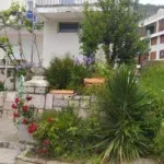 Rent, one bedroom apartment, 67m², Petrovac, Budva - image 17