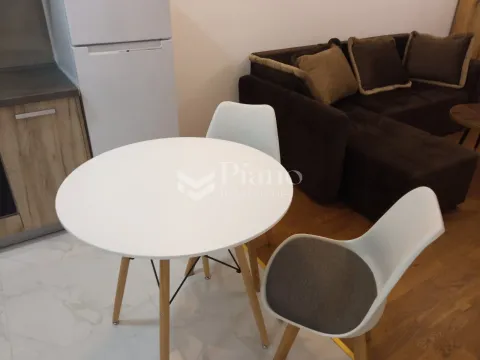 Izdavanje, stan, 30m², Podgorica, Crna Gora - image 2