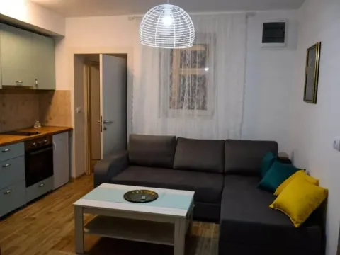 Izdavanje, dvosoban stan, 70m², Slavija, Vračar Sve Podlokacije - image 2