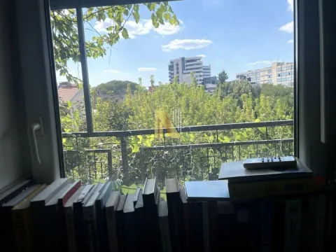 Pogled kroz prozor sa knjigama na prozorskoj dasci i zelenilom i zgradama u daljini. - image 12