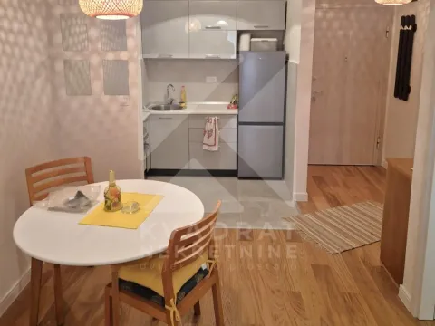 Rent, one bedroom apartment, 40m², Central Point, Podgorica - image 2