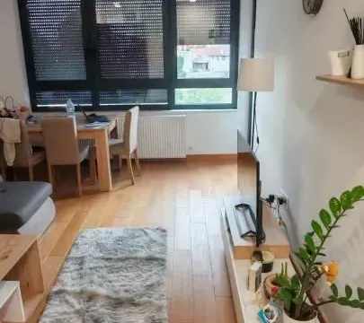 Izdavanje, dvosoban stan, 55m², Centar, Novi Sad - image 8