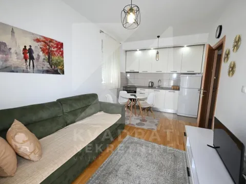 Rent, one bedroom apartment, 33m², Zabjelo, Podgorica - image 3