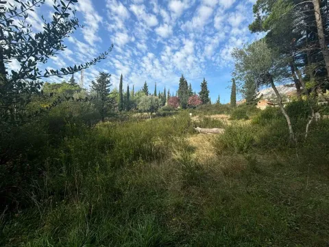 Pogled na zeleno dvorište sa drvećem i rastinjem. - image 12