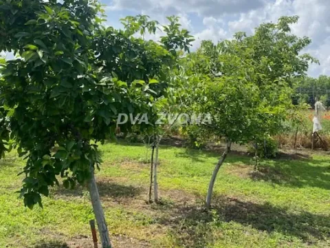 Sale, house, 37m², Čenej, Novi Sad Sve Podlokacije - image 15