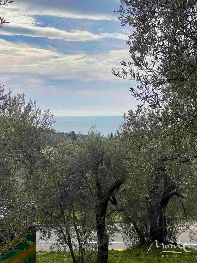 Prodaja, plac, 1650m², Reževići, Budva