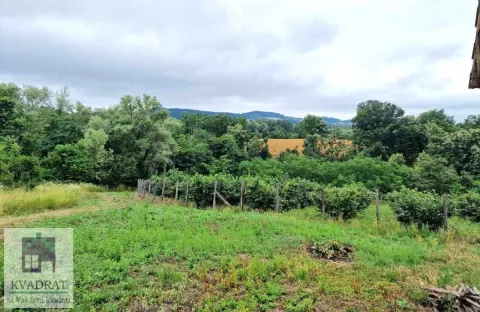 Pogled na prirodu i zelenilo sa imanja. - image 20