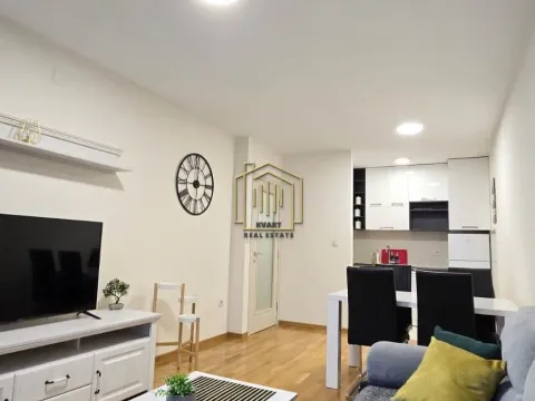 Izdavanje, jednosoban stan, 44m², Zagorič, Podgorica - image 3