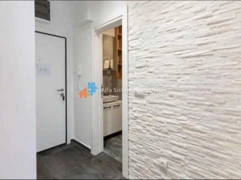 Rent, two bedroom apartment, 43m², Južni Bulevar, Vračar Sve Podlokacije - image 21