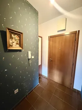Izdavanje, jednosoban stan, 45m², Momišići, Podgorica - image 11