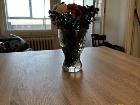 Izdavanje, dvosoban stan, 61m², Brace Jerković, Voždovac Sve Podlokacije - image 6