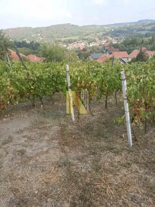 Prodaja, plac, 3922m², Beočin, Srbija