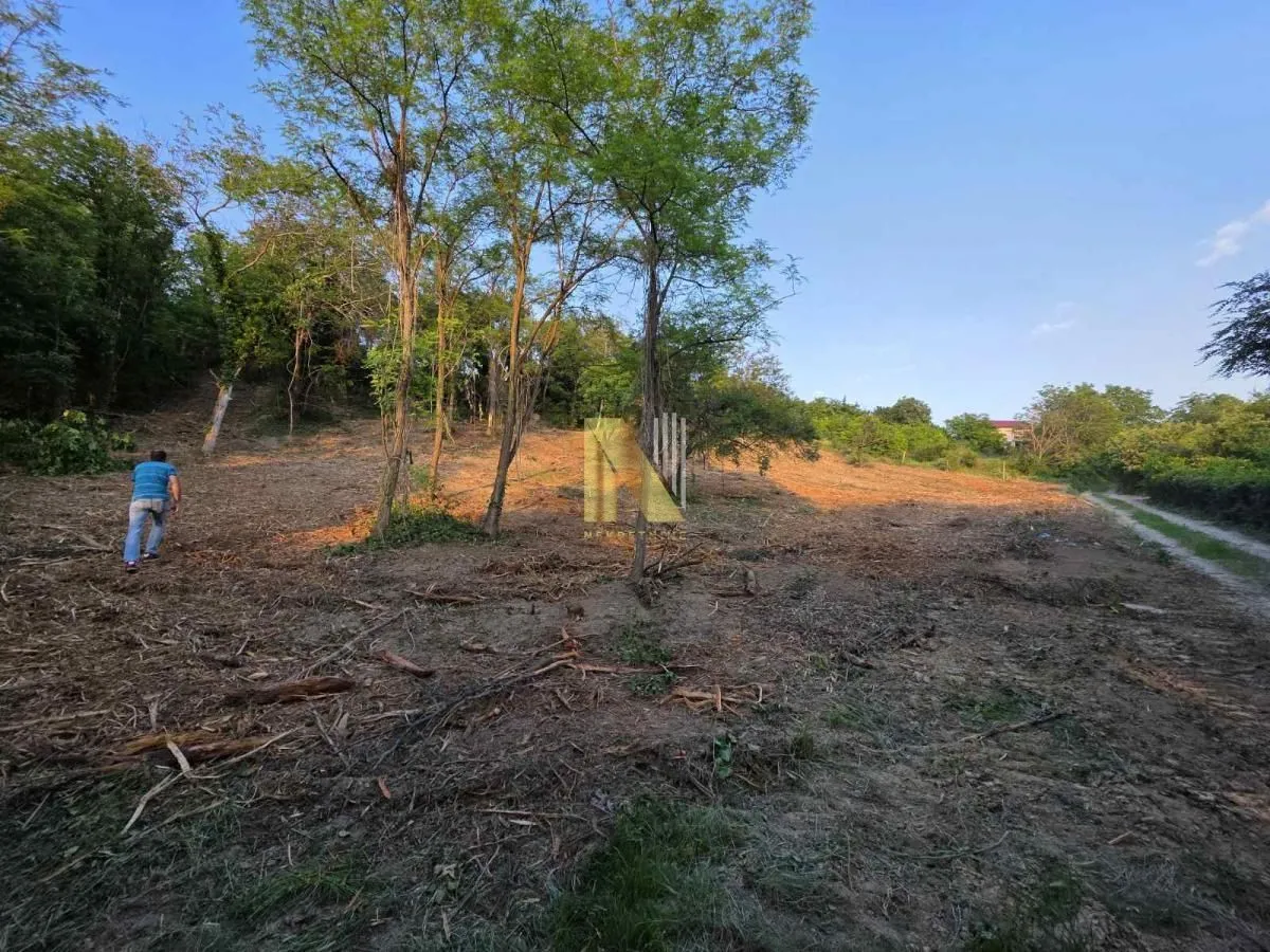Prodaja, plac, 3900m², Sremska Kamenica, Petrovaradin
