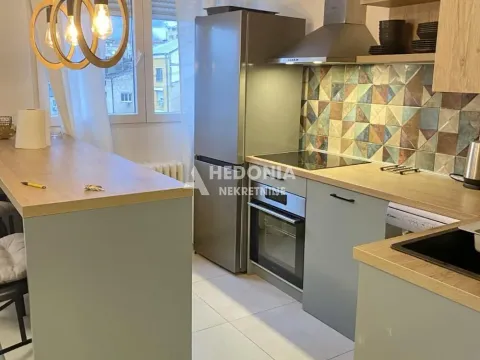 Izdavanje, dvosoban stan, 46m², Stari Grad, Beograd - image 3