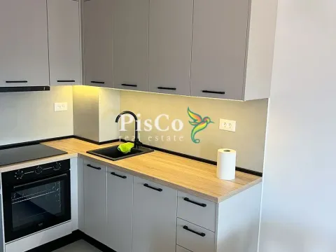 Izdavanje, jednosoban stan, 47m², Stari Aerodrom, Podgorica - image 8