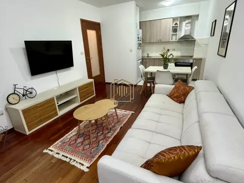 Rent, one bedroom apartment, 44m², Stari Aerodrom, Podgorica - image 12
