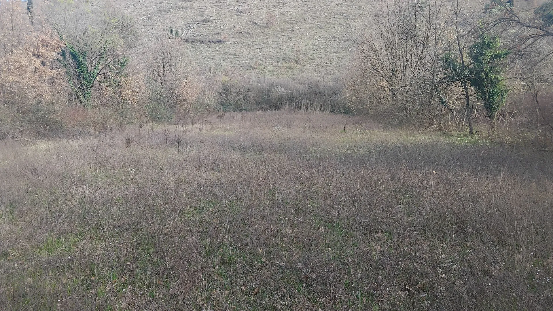 Prodaja, plac, 2400m², Dajbabe, Podgorica