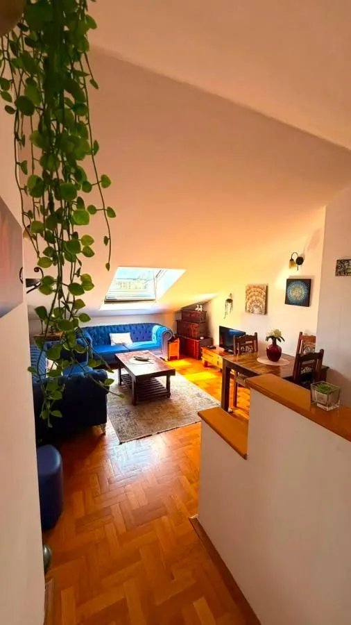Rent, one bedroom apartment, 40m², Vezirov Most, Podgorica