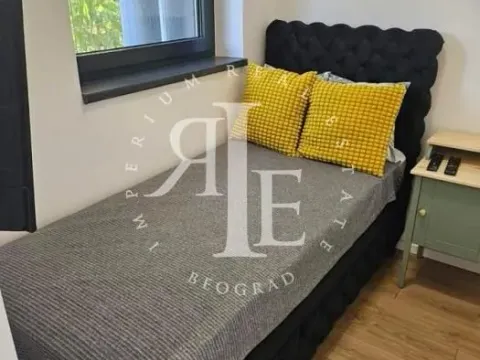 Izdavanje, stan, 35m², Stari Grad, Beograd - image 10