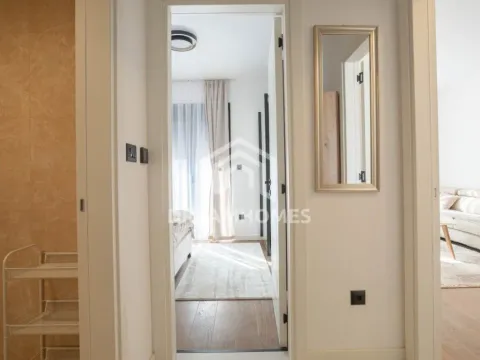 Izdavanje, jednosoban stan, 45m², Centar, Podgorica - image 8