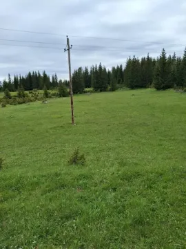 Sale, office space, 500m², Žabljak, Crna Gora - image 3