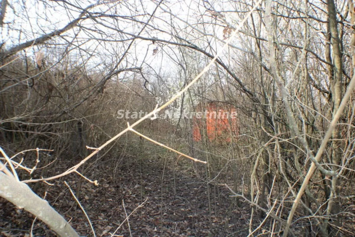 Prodaja, plac, 3081m², Ledinci, Petrovaradin