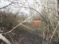 Sale, land lot, 30m², Ledinci, Petrovaradin - image 4