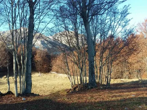 Prodaja, plac, 3002m², Ivanova Korita, Cetinje - image 2