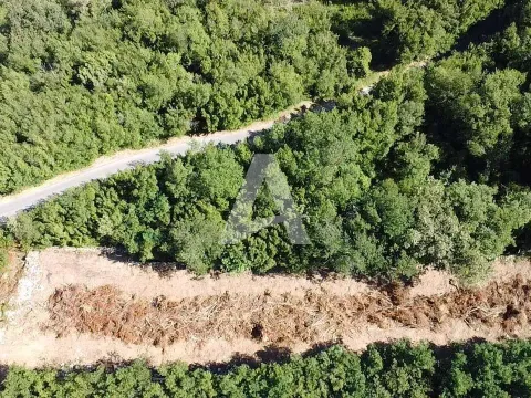 Prodaja, plac, 986m², Sveti Stefan, Budva - image 4