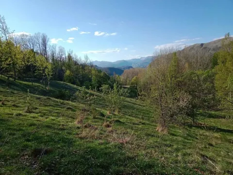 Prodaja, plac, 13700m², Miloševići, Šavnik - image 2